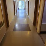 Apartament Ivaia 2 *